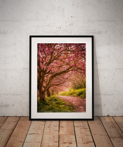 To buy a print or any of the below please click on the images